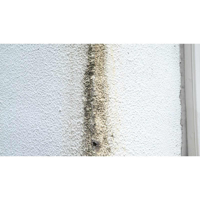 アサヒペン 9018998 S031 外壁・タイル用洗浄スプレー 500g 1個(ご注文単位1個)【直送品】