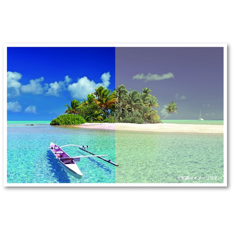 アサヒペン 9019011 インクジェット写真用保護スプレー 300ml 透明 1個（ご注文単位1個）【直送品】