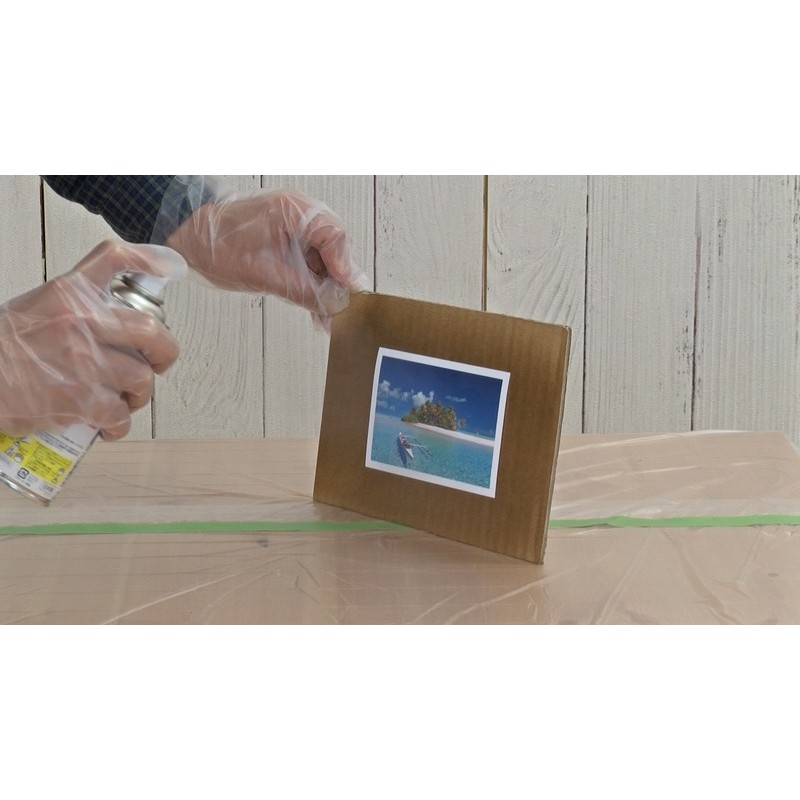 アサヒペン 9019011 インクジェット写真用保護スプレー 300ml 透明 1個（ご注文単位1個）【直送品】