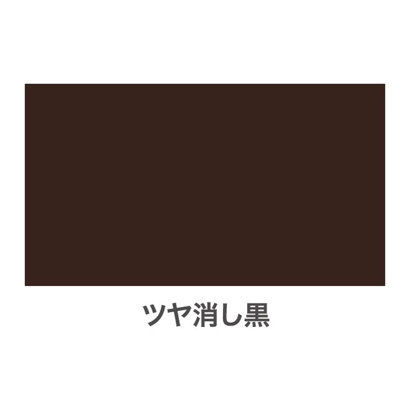 アサヒペン 901385 水性多用途スプレー 300mL ツヤ消し黒 1個(ご注文単位1個)【直送品】