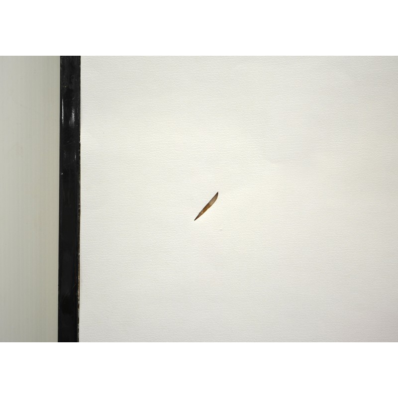 アサヒペン 901904 障子・フスマ補修シート #950 1個(ご注文単位1個)【直送品】