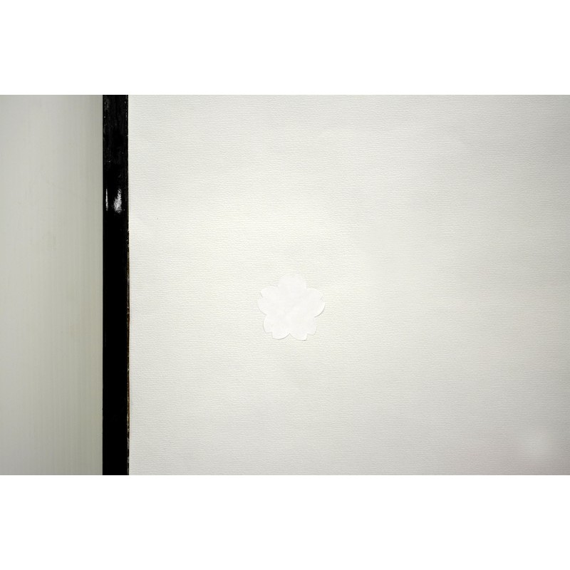 アサヒペン 901904 障子・フスマ補修シート #950 1個(ご注文単位1個)【直送品】