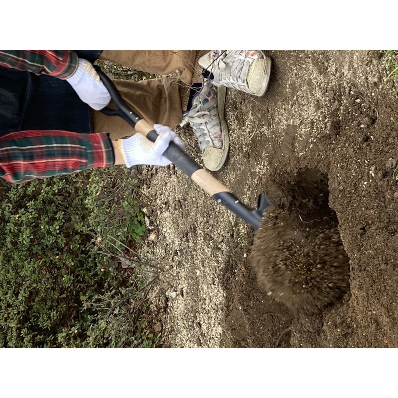 アサヒペン 9018918 COBRA 補修テープ 50mm×127cm CB-001 1個（ご注文単位1個）【直送品】