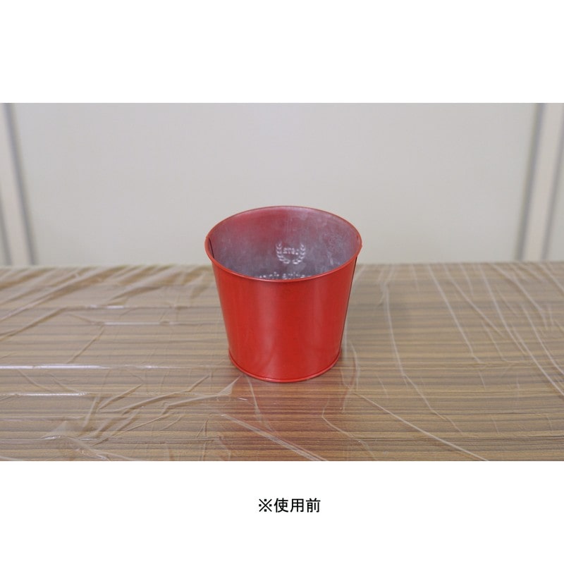 アサヒペン 9019308 水性塗料はがし液 100ml 1個(ご注文単位1個)【直送品】