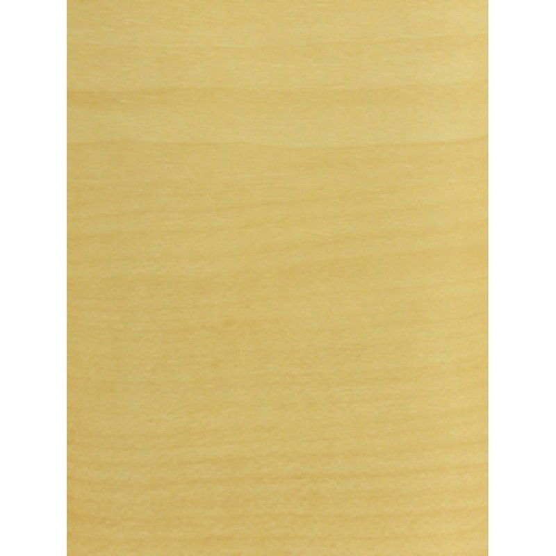 アサヒペン 9015274 REALA 10×90cm RL-2 1個（ご注文単位1個）【直送品】