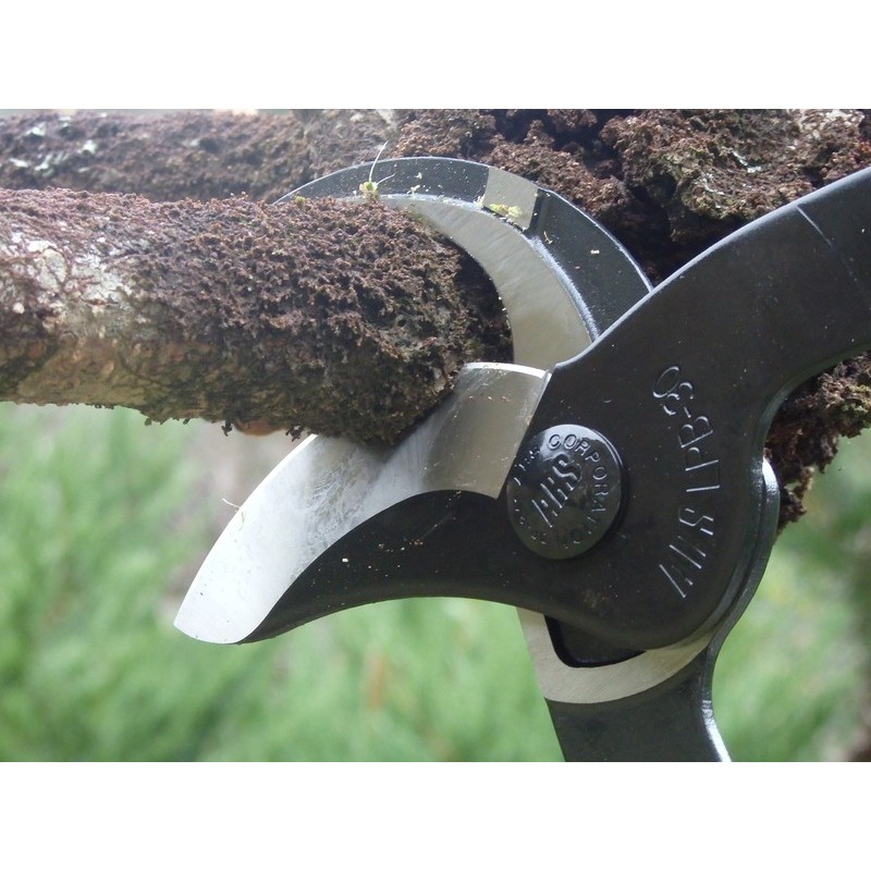 アルス 101618 アルス LPB-30L 太枝切鋏ロッパー L 1個(ご注文単位1個)【直送品】