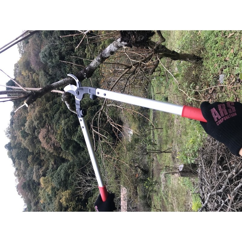 アルス 101617 アルス LPB-30M 太枝切鋏ロッパー M 1個（ご注文単位1個）【直送品】