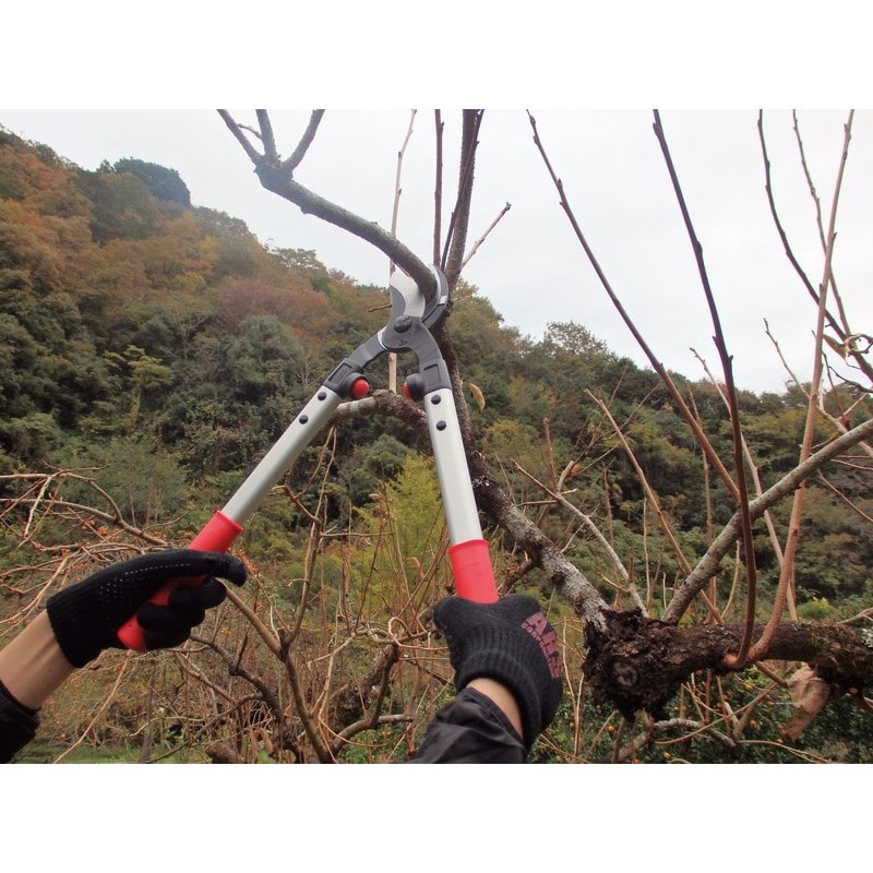 アルス 101616 アルス LPB-30S 太枝切鋏ロッパー S 1個(ご注文単位1個)【直送品】