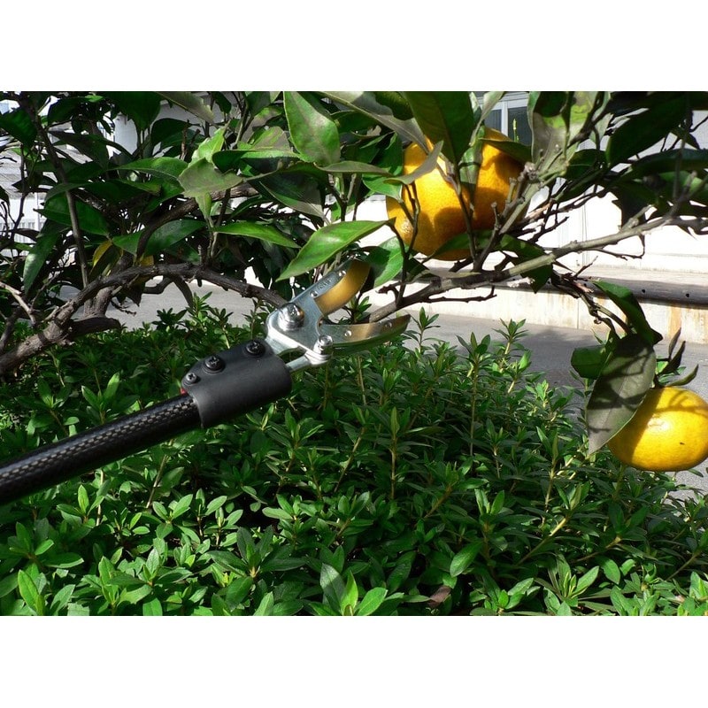 アルス 101772 アルス160PCC-1.8 カーボンチョキ 採収型 160PCC-1.8D 1個(ご注文単位1個)【直送品】