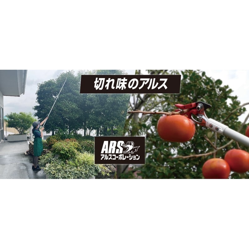 アルス 101785 アルス160PCC-1.2Dカーボンチョキ 採収型 1個(ご注文単位1個)【直送品】