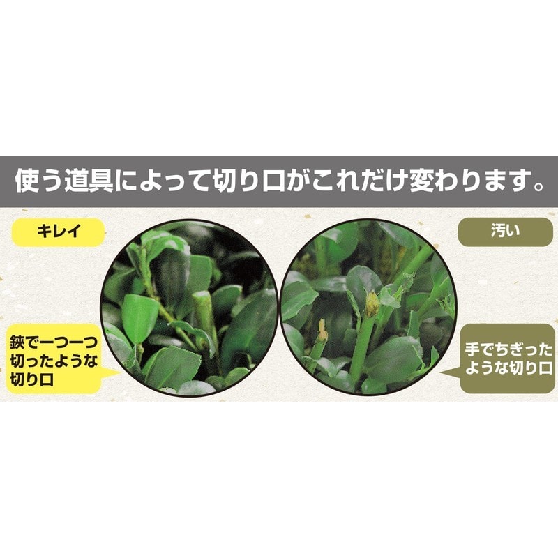 アルス 318025 アルス 電動バリカン カルゼ ロング DKW-1035T-R 1個(ご注文単位1個)【直送品】