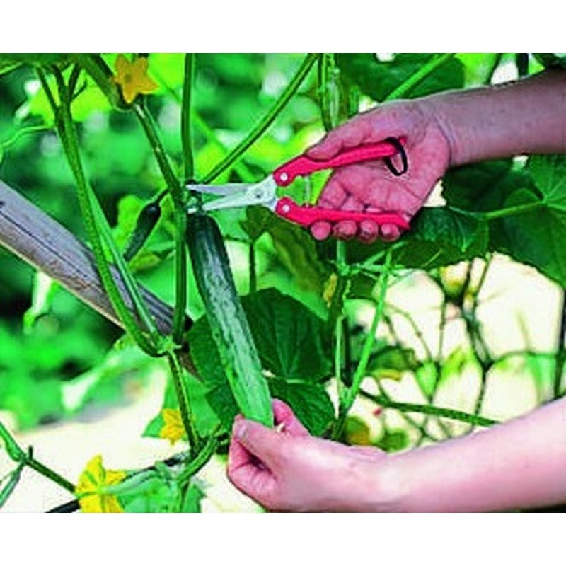 アルス 101376 SE-45 替刃式ガーデニング鋏 1個（ご注文単位1個）【直送品】