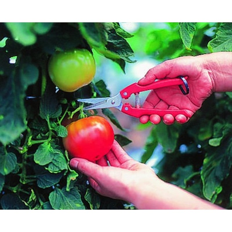 アルス 101376 SE-45 替刃式ガーデニング鋏 1個（ご注文単位1個）【直送品】