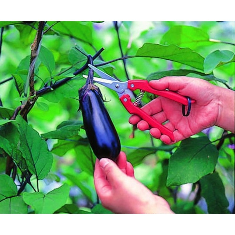 アルス 101376 SE-45 替刃式ガーデニング鋏 1個（ご注文単位1個）【直送品】