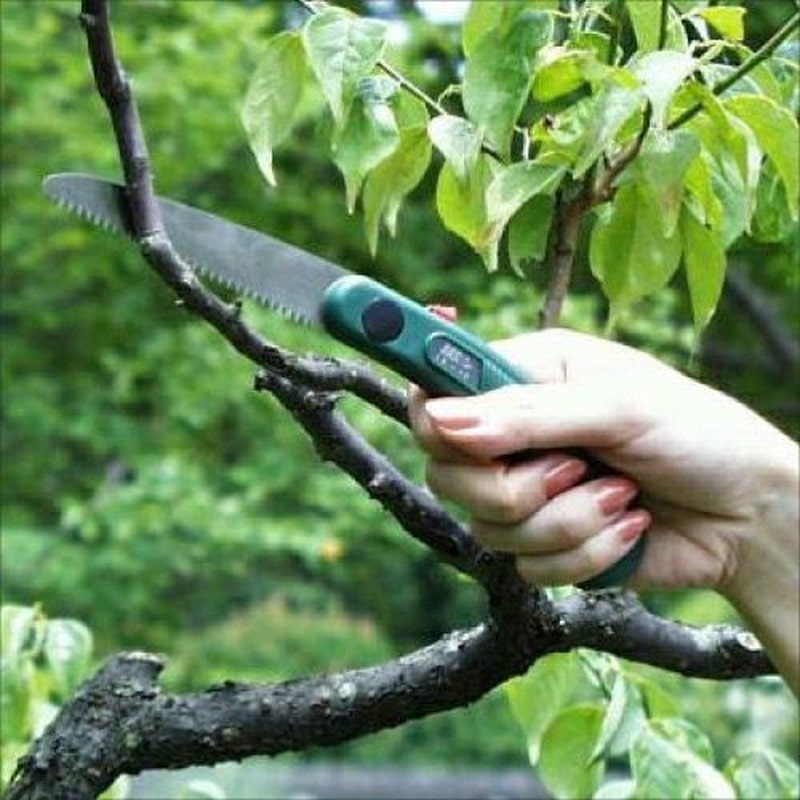 アルス 101838 GC-IK-10 Gクラシック 花小町 1個（ご注文単位1個）【直送品】