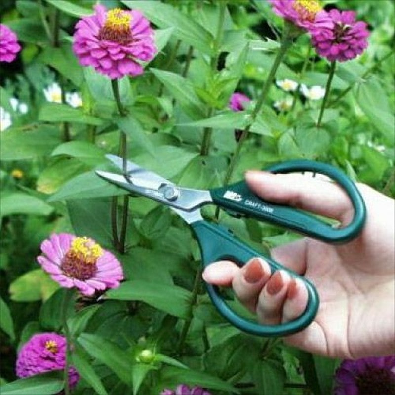 アルス 101801 GC-3000 Gクラシック ヌーボー 1個（ご注文単位1個）【直送品】