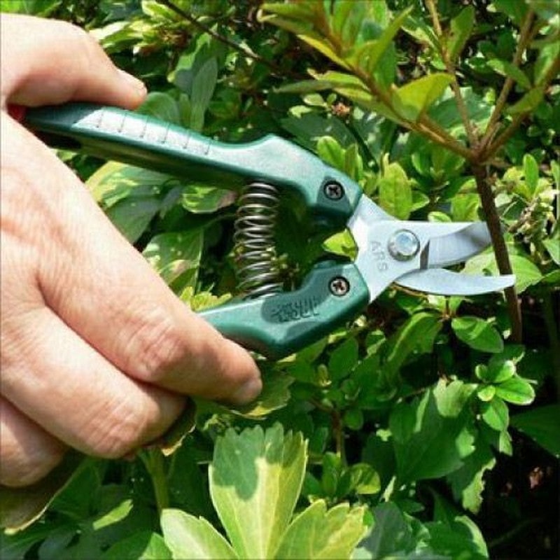 アルス 101816 GC-SE-30 Gクラシック替刃式ガーデニング鋏 1個（ご注文単位1個）【直送品】