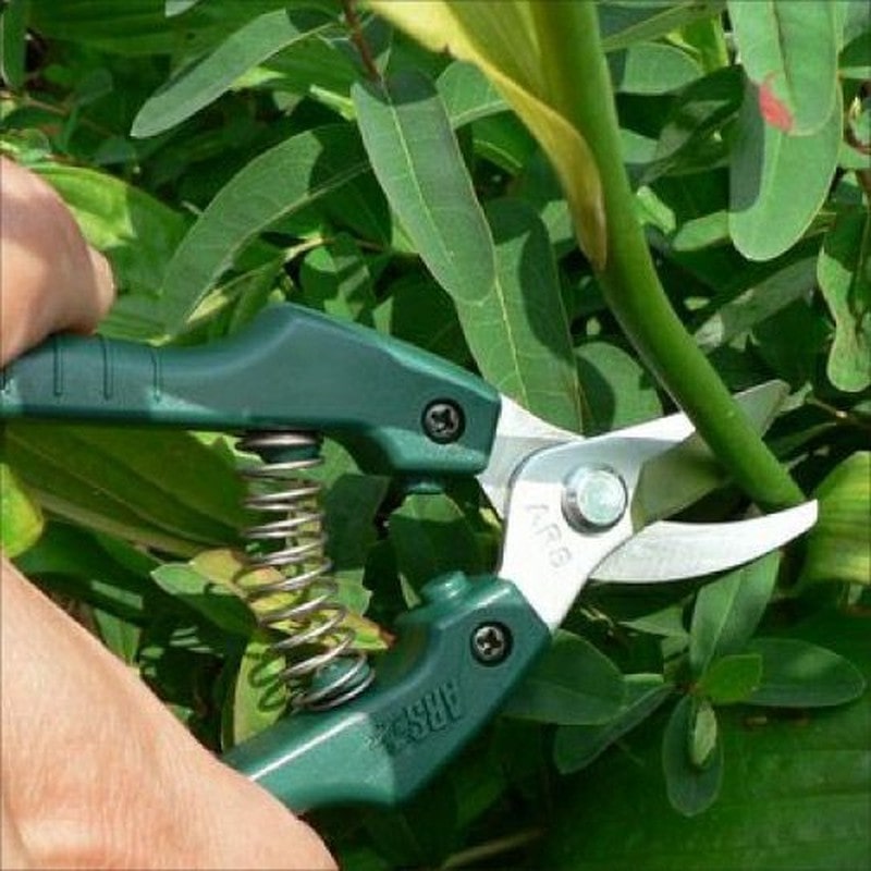 アルス 101816 GC-SE-30 Gクラシック替刃式ガーデニング鋏 1個（ご注文単位1個）【直送品】