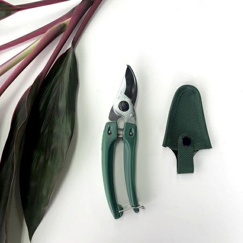 アルス 101809 GC-130 Gクラシック ミニチョキ 1個（ご注文単位1個）【直送品】