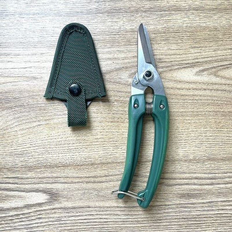 アルス 101810 GC-140 Gクラシック ファミリー 1個（ご注文単位1個）【直送品】