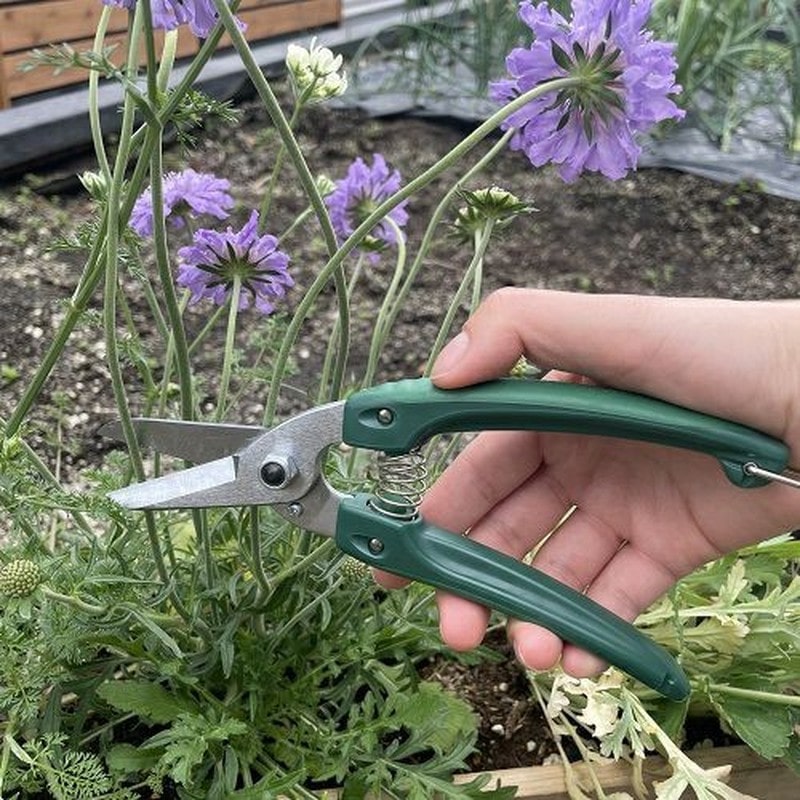 アルス 101810 GC-140 Gクラシック ファミリー 1個（ご注文単位1個）【直送品】