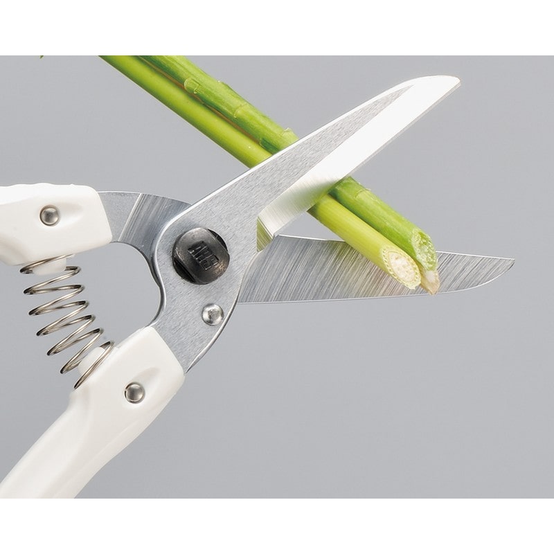 アルス 101349 140L-DX ロングファミリーデラックス 1個（ご注文単位1個）【直送品】