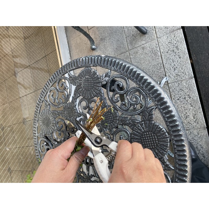 アルス 101307 140B ファミリーブラック 1個（ご注文単位1個）【直送品】