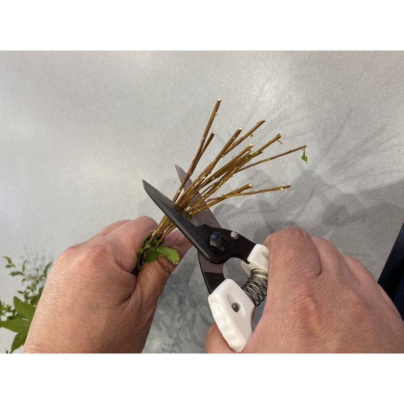 アルス 101307 140B ファミリーブラック 1個（ご注文単位1個）【直送品】