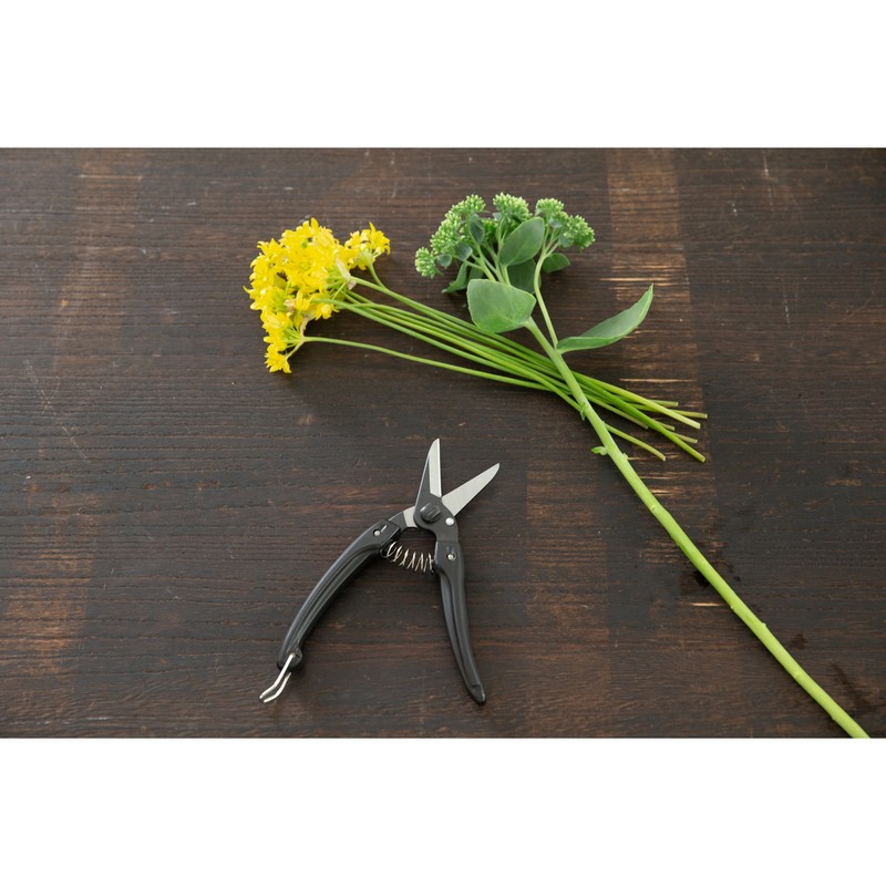 アルス 101488 ファミリーブラック黒 140B-BK 1個（ご注文単位1個）【直送品】