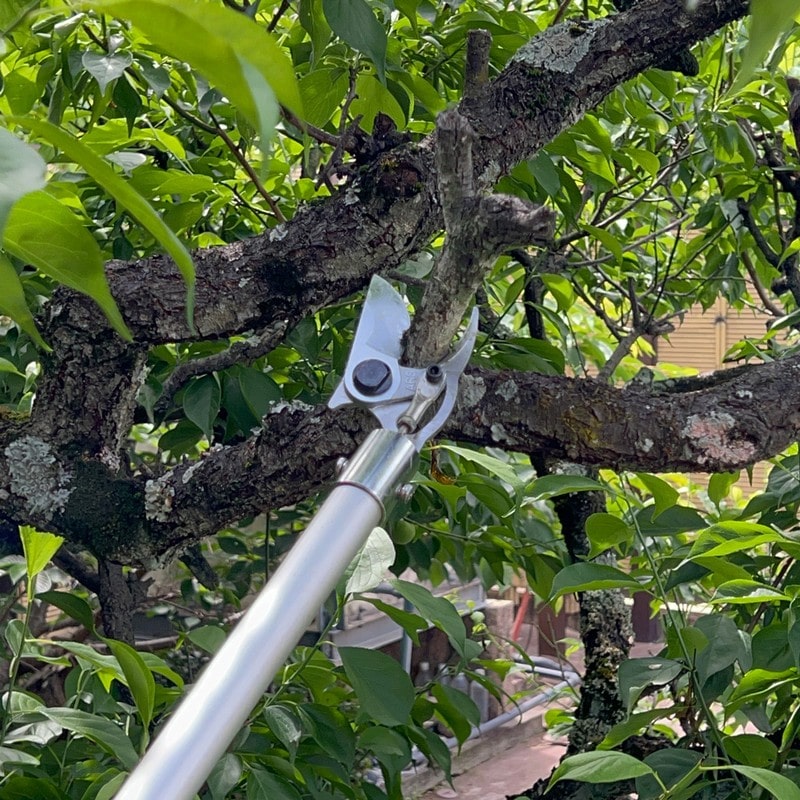 アルス 318058 コードレス電動パイプ回転式高枝鋏スゴタカ 1.2m EPT-720-1.2 1個(ご注文単位1個)【直送品】