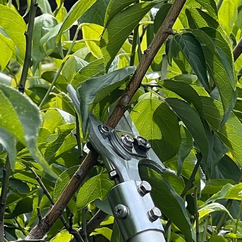 アルス 318058 コードレス電動パイプ回転式高枝鋏スゴタカ 1.2m EPT-720-1.2 1個(ご注文単位1個)【直送品】