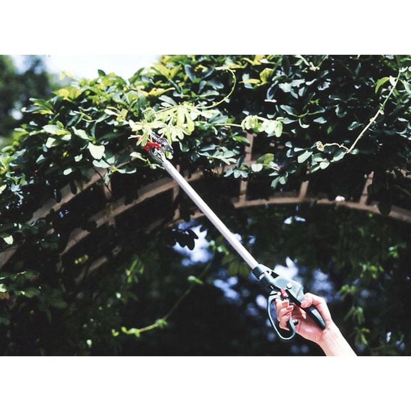 アルス 101820 GC-150-0.6 Gクラシック 花パッチン 1個（ご注文単位1個）【直送品】