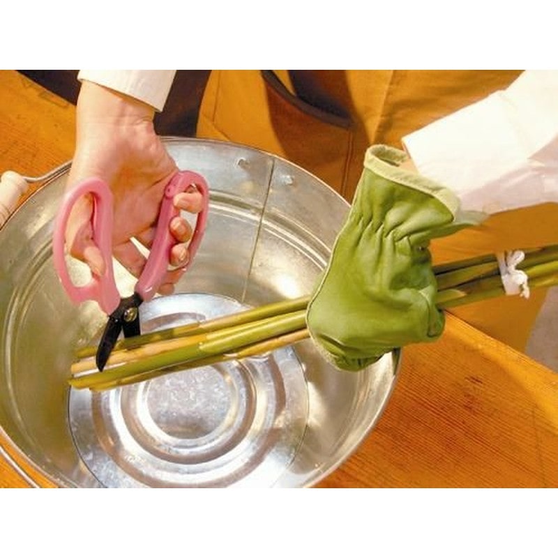 アルス 101414 FP-17-BK業務用花はさみフルール ブラック 1個（ご注文単位1個）【直送品】