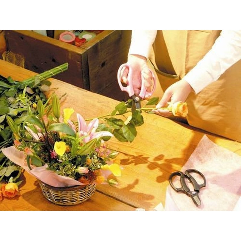 アルス 101414 FP-17-BK業務用花はさみフルール ブラック 1個（ご注文単位1個）【直送品】