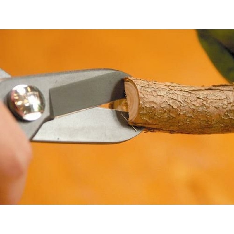 アルス 101414 FP-17-BK業務用花はさみフルール ブラック 1個（ご注文単位1個）【直送品】