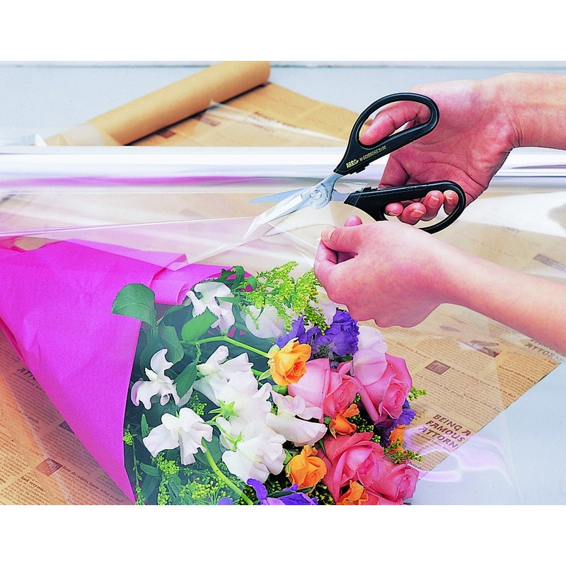 アルス 101412 3100-BK アルスヌーボーダブル 1個(ご注文単位1個)【直送品】