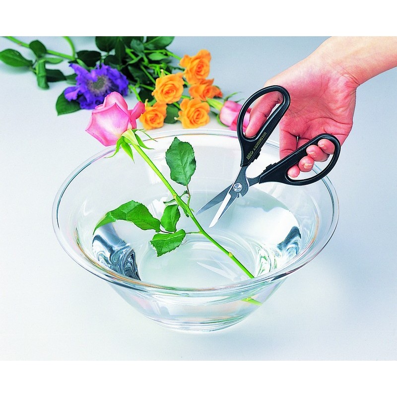 アルス 101412 3100-BK アルスヌーボーダブル 1個(ご注文単位1個)【直送品】