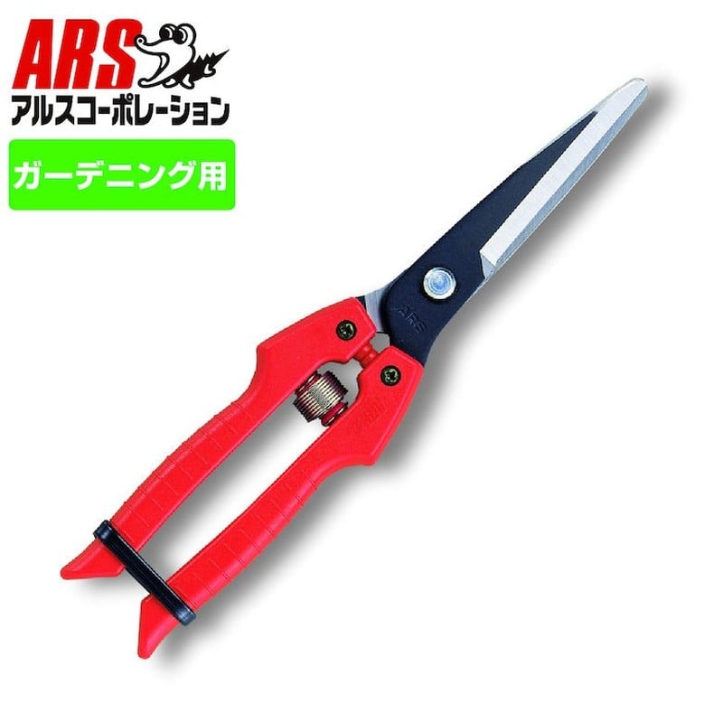 アルス 101401 SE-65 青果鋏 玉ねぎ用 箱入 1個（ご注文単位1個）【直送品】