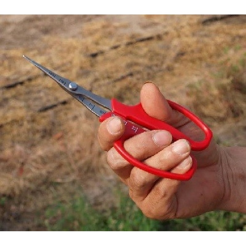 アルス 101482 アルス 321DX-T ぶどう摘粒鋏 直刃 袋入 1個（ご注文単位1個）【直送品】