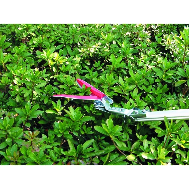 アルス 101753 190ZTR-3.1-5DズームチョキチルトR刈込 1個（ご注文単位1個）【直送品】