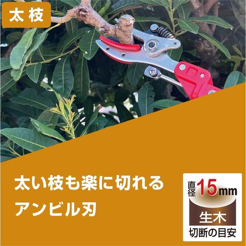 アルス 101740 184ZKA-3.0-5D 高枝K アンビル採集 1個(ご注文単位1個)【直送品】