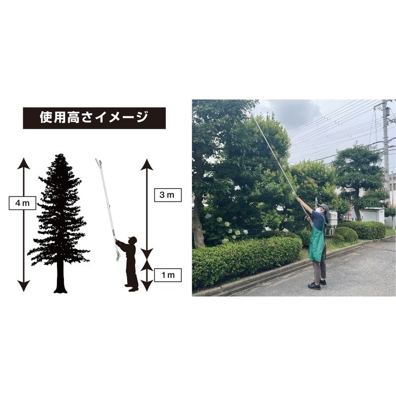 アルス 101740 184ZKA-3.0-5D 高枝K アンビル採集 1個(ご注文単位1個)【直送品】