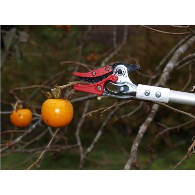 アルス 101727 アルス 150S-1.8D超軽量高枝鋏ライトチョキ 1個(ご注文単位1個)【直送品】