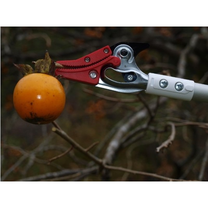 アルス 101727 アルス 150S-1.8D超軽量高枝鋏ライトチョキ 1個(ご注文単位1個)【直送品】