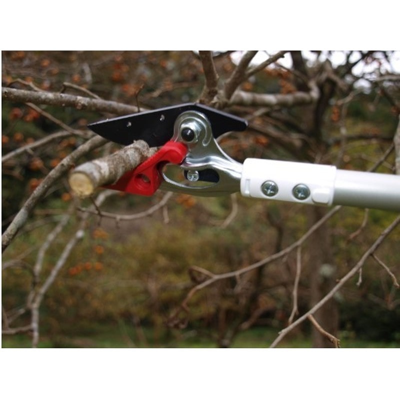 アルス 101727 アルス 150S-1.8D超軽量高枝鋏ライトチョキ 1個(ご注文単位1個)【直送品】