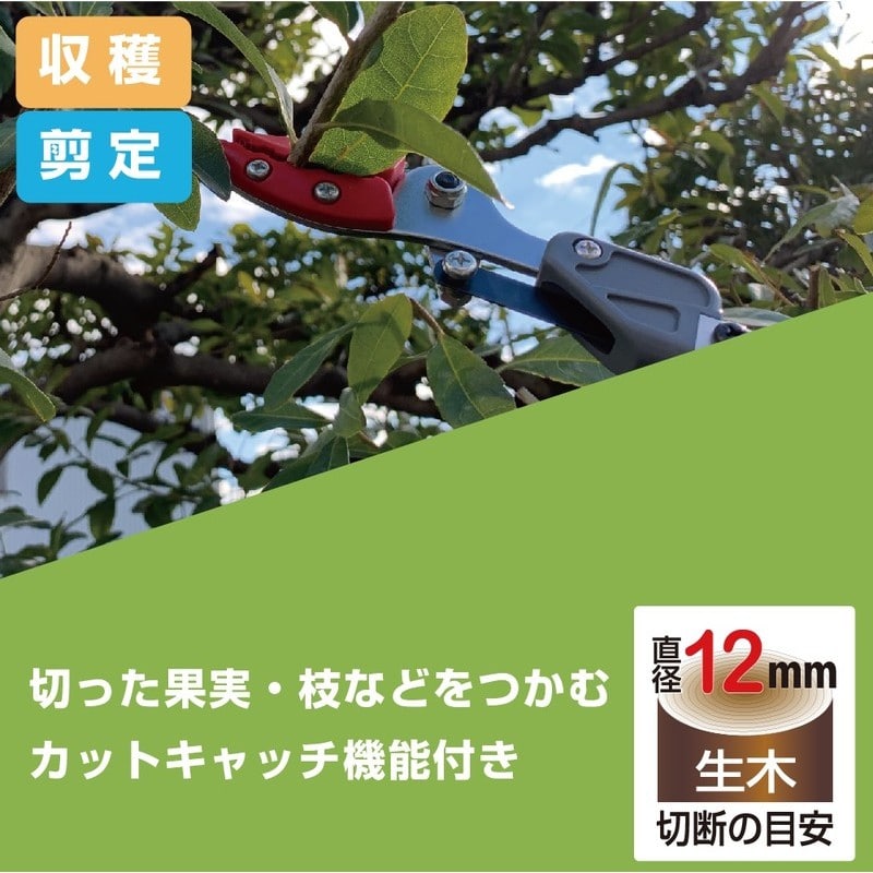 アルス 101792 ズームチョキエコノ 採集型2m 160ZD-2.0-3D 1個（ご注文単位1個）【直送品】