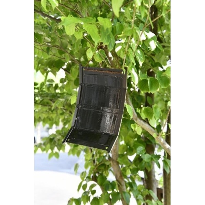 イカリ消毒 205678 イカリスズメバチハンタースズメバチ捕獲シート2枚入 1個(ご注文単位1個)【直送品】