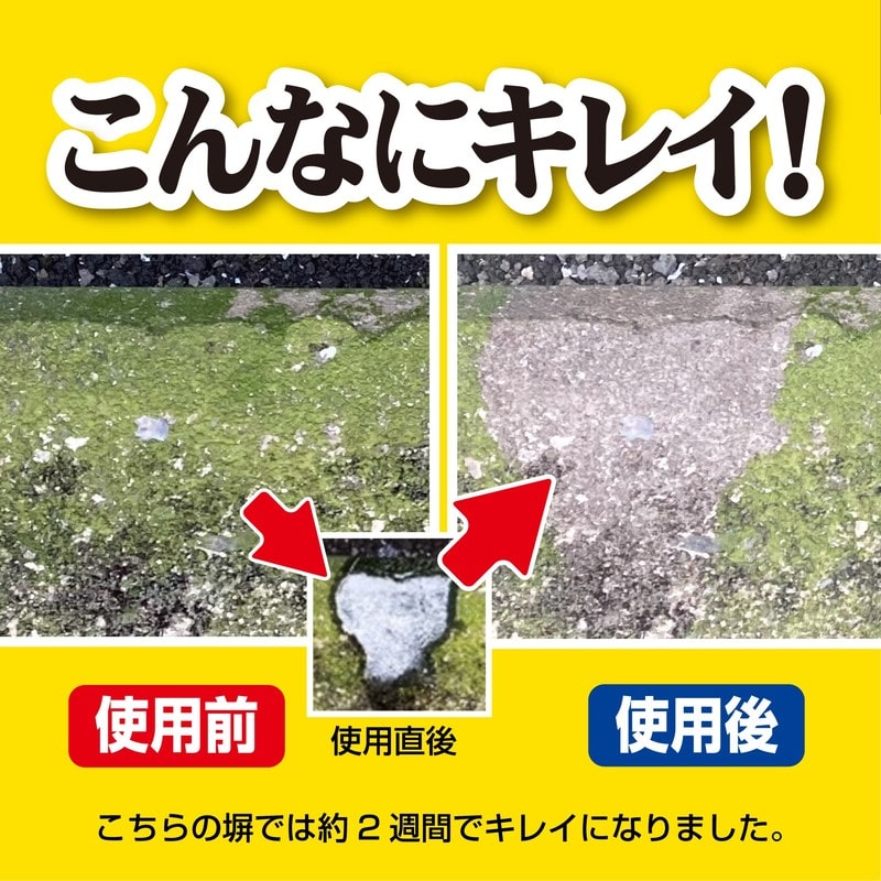 イカリ消毒 275003 外壁用エアゾール 420ml 1個(ご注文単位1個)【直送品】