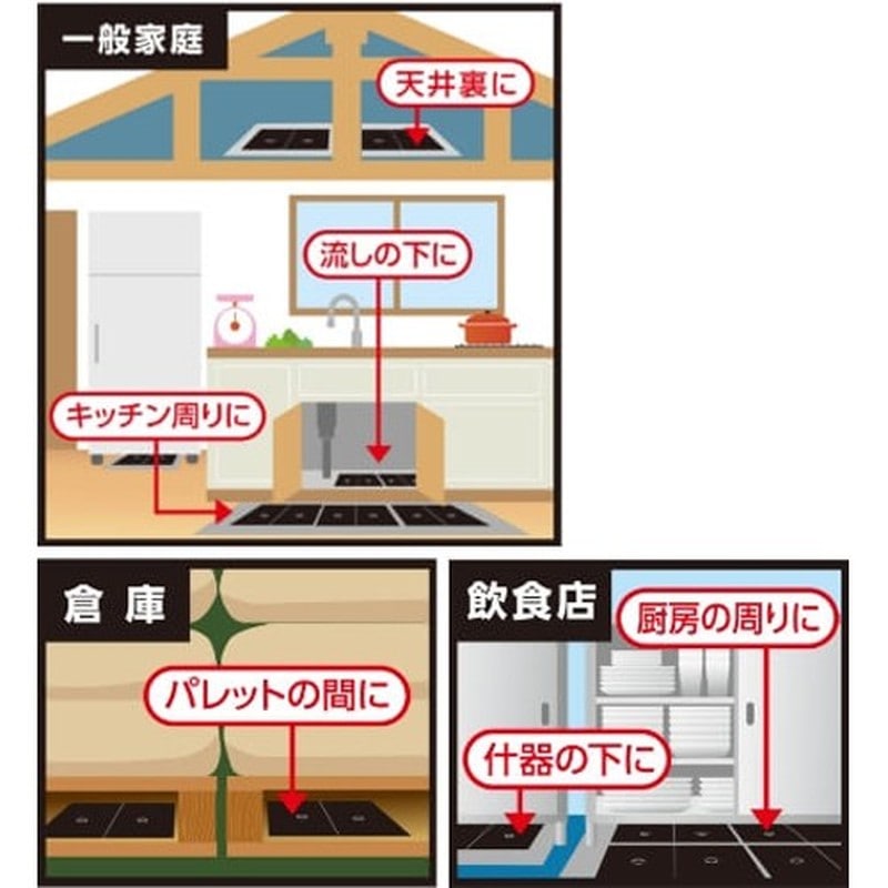 イカリ消毒 205682 イカリ チュークリンブラックプロ 5枚入 1個(ご注文単位1個)【直送品】
