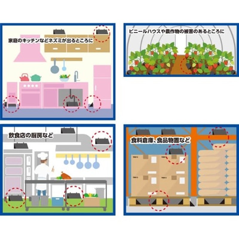 イカリ消毒 205683 イカリ チュークリンブラックメガハウス 2枚入 1個(ご注文単位1個)【直送品】